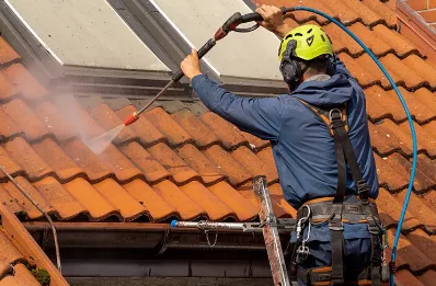 Démoussage et hydrofuge de toiture à Mersuay
